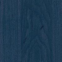 Вільха синя