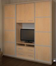 Ниша под телевизор в шкафу купе Дом Камелот К23 (профиль фасадов и перегородки - цвет алюминий)