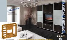 Шкаф купе с местом под телевизор Дом Камелот К 27 (сборка в день доставки)