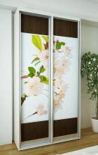 Шкаф с раздвижными фасадами Ника Эконом 6 (белый шкаф с фотопечатью)