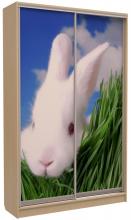 Шафа купе для маленької кімнати Ніка Лего 1210 - 1300 (з фотодруком)