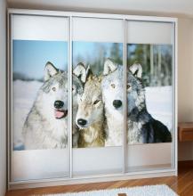 Шафа купе для дитячої кімнати хлопчика Ніка Solo 4 (фотодрук вовки)